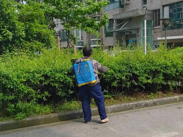 綠化殺蟲(chóng)