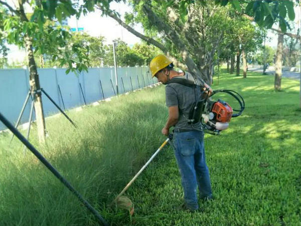 物業(yè)河道綠化、保潔、養(yǎng)護(hù)